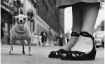 Elliott Erwitt - People, Places, Moments