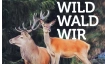 Sonderausstellung &laquo;Wild. Wald. Wir.&raquo;