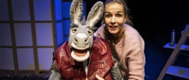 Event-Image for 'Rahel Wohlgensinger - Herr F&auml;ssler und die St&uuml;rme der Liebe'