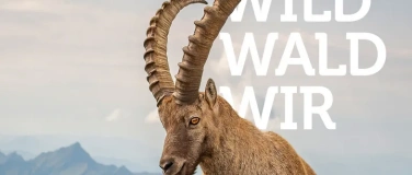 Event-Image for 'Wildwanderung'