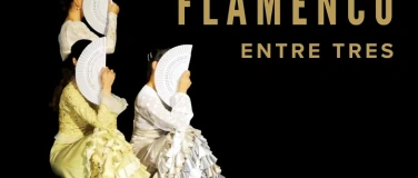 Event-Image for 'Flamencoauff&uuml;hrung Theater STOK'
