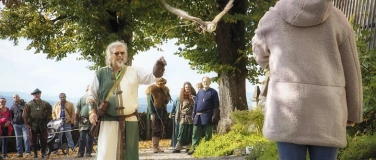 Event-Image for 'Von Adler bis Eule: Greifv&ouml;gel auf dem Schloss'