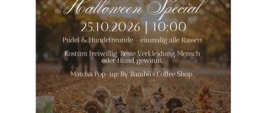 Event-Image for 'Poodle & Friends Halloween Special: Einmalig f&uuml;r alle Rassen'