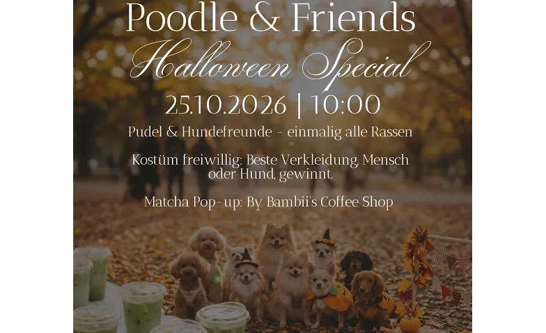 Poodle & Friends Halloween Special: Einmalig für alle Rassen, Leisure & Excursions / Animal and nature experiences, Rheintreppe Stadtpark Ost, Fischerweg 1,  4310 Rheinfelden, CH
