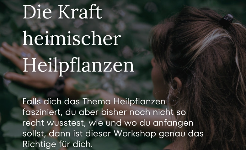 Die Kraft heimischer Heilpflanzen