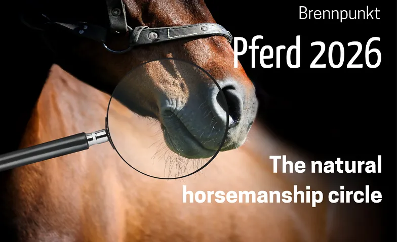 Brennpunkt Pferd 2026: The natural horsemanship circle, Courses & Seminars / Other Courses & Seminars, Nationales Pferdezentrum Bern
