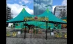 world of dinosliveshow