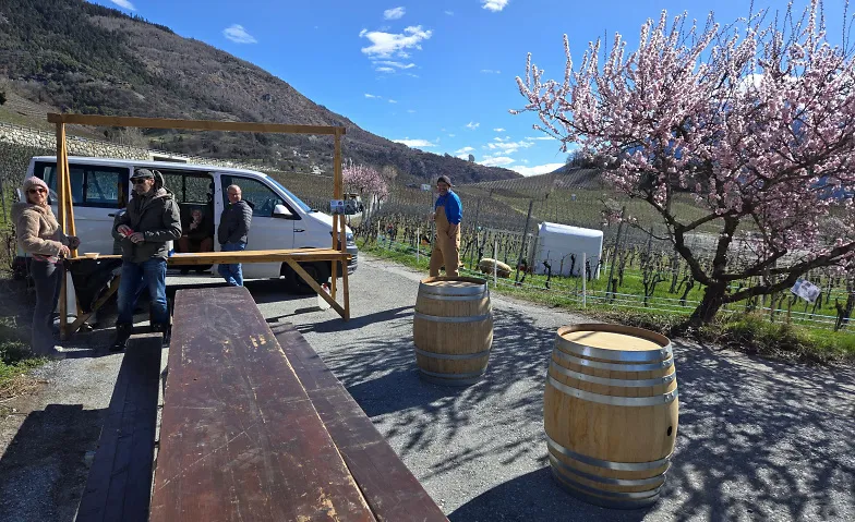 Mandelblütenfest, Manger & boire / Dégustation de vins, Mandelblütenfest