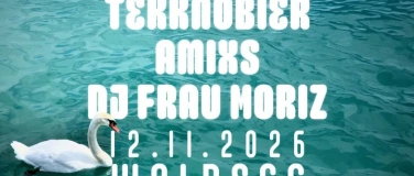 Event-Image for 'Tekknobier + Amixs + DJ frau moriz'