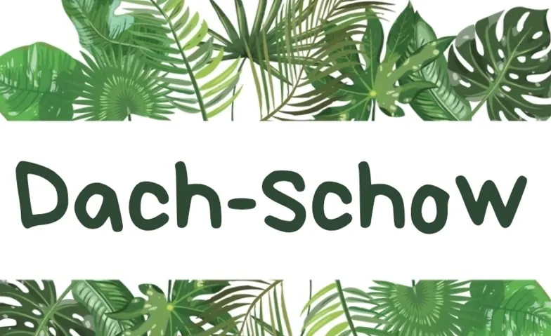 DACHSHOW – Kunst, Chaos & ein bisschen Drama
