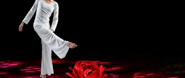 Event-Image for '12 Seasons - ein Tanzabend aus Singapore'