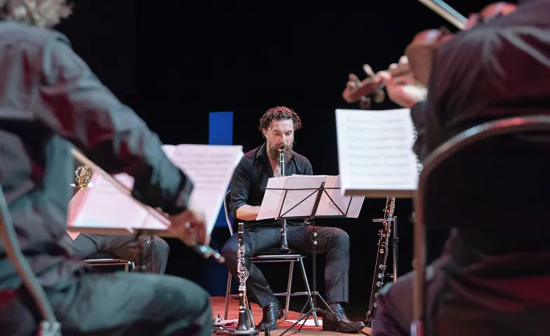 Event-Image for 'Lust gemeinsam zu Musizieren? Unser Holzbl&auml;serensemble sucht'