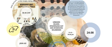 Event-Image for 'Urbane Helden: SpazierGang auf den Spuren Von WildBienen'