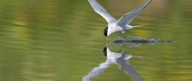 Event-Image for 'Naturfotografie in Island &ndash; ein Fotograf im Hoch und Tief'