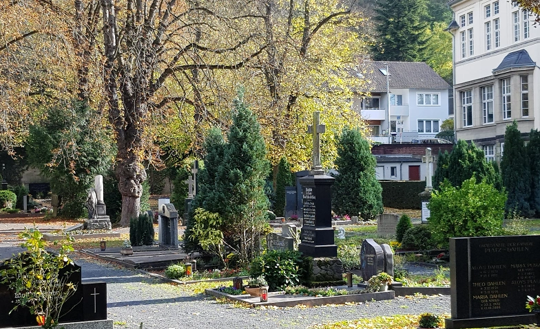 Friedhof Palastweiher - Führung, Führungen & Vorträge / Führung, Siebengebirgsmuseum