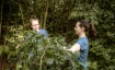 Herbst-Gartenkurs in Forst-L&auml;ngenb&uuml;hl
