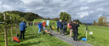 Event-Image for 'EuroBirdwatch 2026 - Vogelzug auf dem Sonnenberg Kriens'