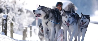 Event-Image for 'Schlittenhunderennen Lenk 2027'