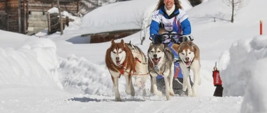 Event-Image for 'Schlittenhunderennen Gadmen 2027'
