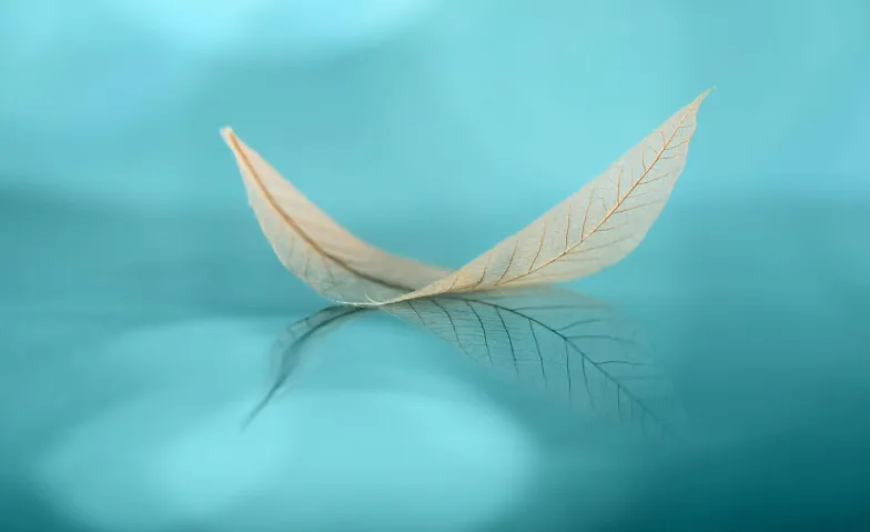 Event-Image for 'Meditation f&uuml;r K&ouml;rper und Geist &ndash; Pr&auml;vention und Regeneratio'