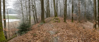 Event-Image for 'Vortrag &laquo;Eine keltische Befestigung auf dem Buechholz in Epp'
