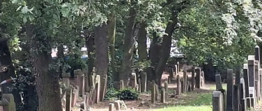 Event-Image for 'Rundgang J&uuml;discher Friedhof Gro&szlig;-Gerau'