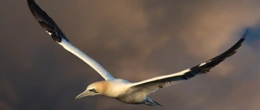 Event-Image for 'Fotoworkshops & Fotokurse auf Helgoland &ndash; Nordsee erleben'