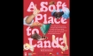 A Soft Place to Land?