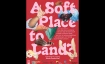 A Soft Place to Land?