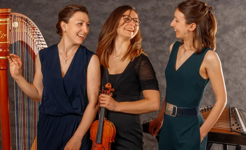 Ensemble Vielsaitig