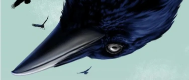 Event-Image for 'FILMABEND: Kr&auml;hen - Nature is watching us, von Martin Schilt'