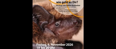 Event-Image for 'Vortrag &laquo;Kleine Fledermaus &ndash; wie geht es Dir?&ldquo;'
