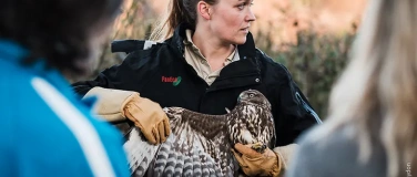 Event-Image for 'Lehrpersonen-Weiterbildung: Greifv&ouml;gel und Eulen'