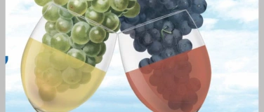 Event-Image for '28. Weinfest Berlingen'