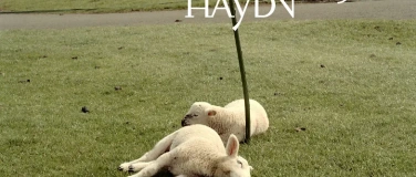 Event-Image for 'Haydn2032: Il dolce far niente &ndash; Giovanni Antonini & Il Giar'