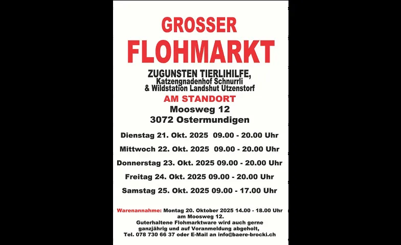 Grosser Flohmarkt zugunsten Tierhilfe