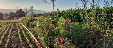Event-Image for 'Erntedankfest & Transfarmation &ndash; Vielfalt feiern!'