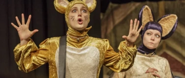 Event-Image for 'Nachts sind alle Hamster grau'