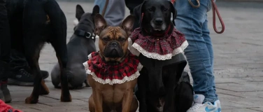 Event-Image for '8. Neunkircher Hundeweihnachtsmarkt'