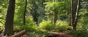 Event-Image for 'Single-Spaziergang 10/2026 auf Schelfwerder'