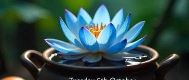 Event-Image for 'Cacao & blue Lotus Ceremony'