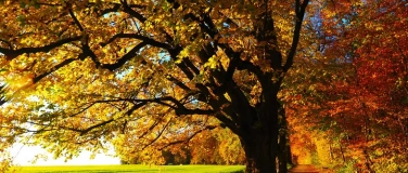 Event-Image for 'Die vier Jahreszeiten &ndash; einmal anders &laquo;Herbst&raquo;'