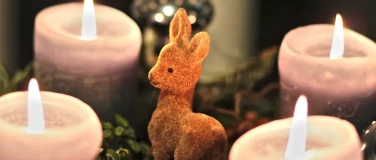 Event-Image for 'ADVENTSYOGA'