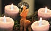 ADVENTSYOGA