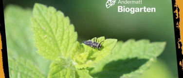 Event-Image for 'Schulung Biogarten Luzern-Littau'