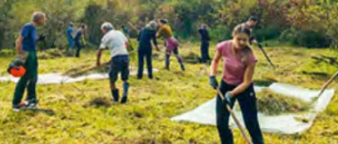 Event-Image for 'Arbeitseinsatz Huebermoos'
