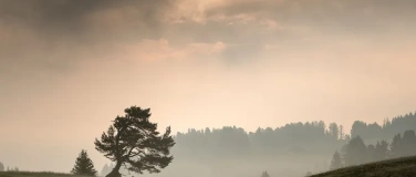 Event-Image for 'La spiritualit&eacute; chez la personne &acirc;g&eacute;e'