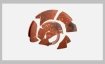 Arch&auml;ologische Delikatessen &uuml;ber Mittag