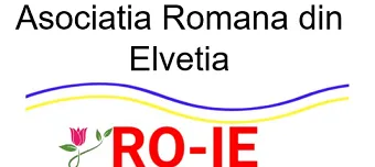 Event organiser of Spectacol multimedia: &bdquo;Br&acirc;ncuși, dragostea mea&rdquo;