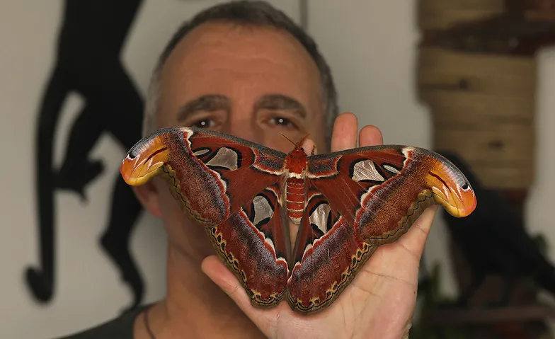 28. Insektenbörse Kloten